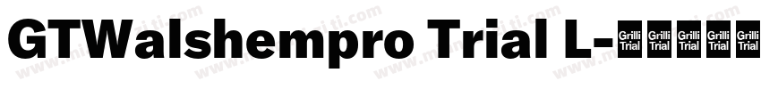 GTWalshempro Trial L字体转换